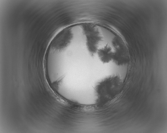 X0000060221291200510280902