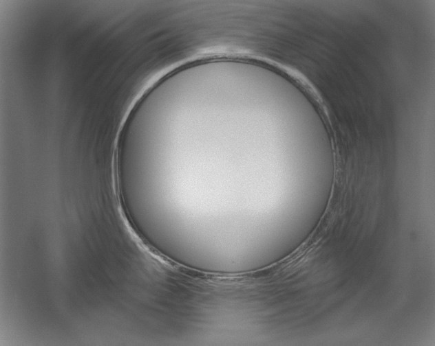 X0000060221295200510280902