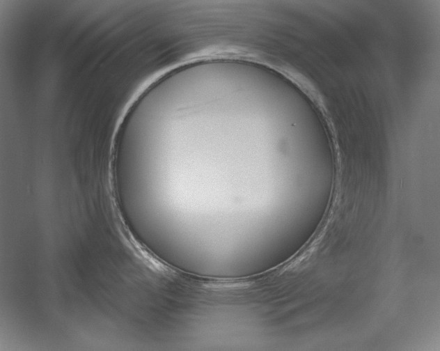 X0000060221296200510280902
