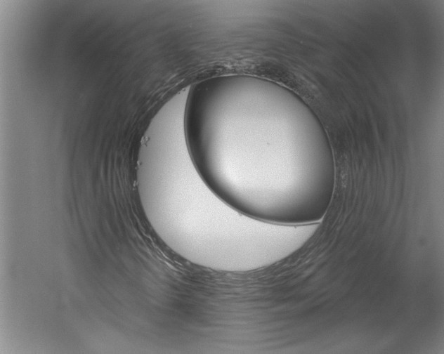 X0000060221298200510280901