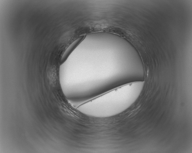 X0000060221299200510280901