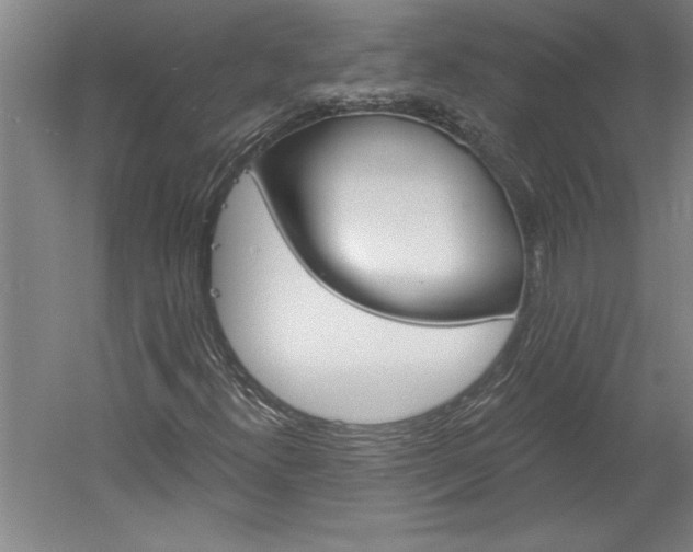 X0000060221300200510280901