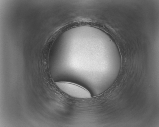 X0000060221303200510280901