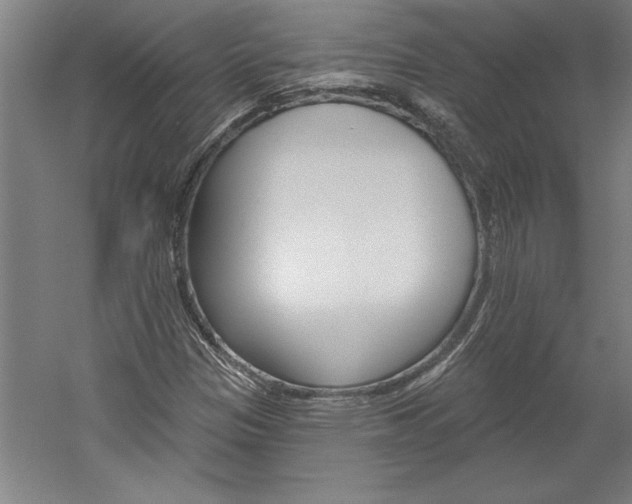 X0000060221305200510280901