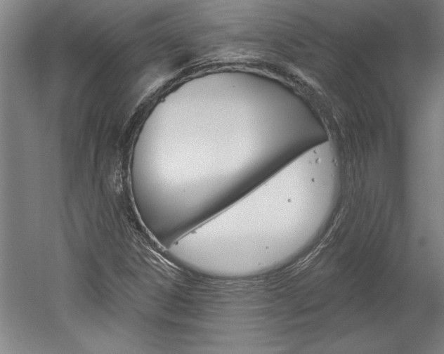 X0000060221306200510280901
