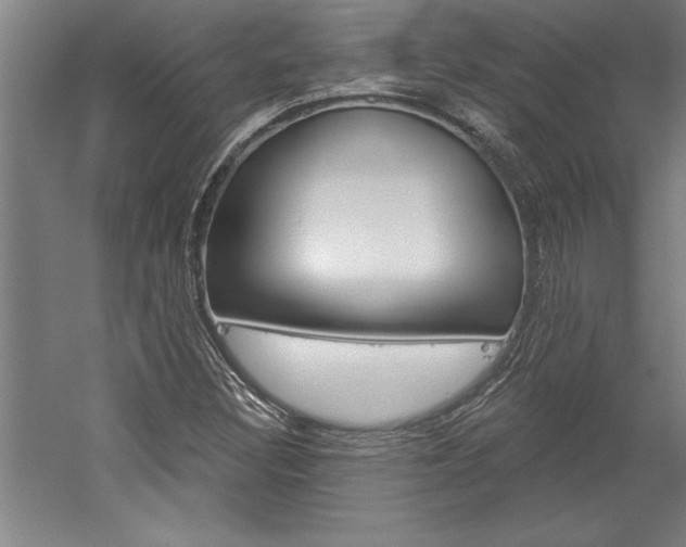 X0000060221308200510280901