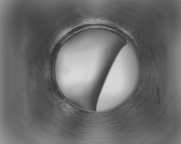 X0000060221311200510280901