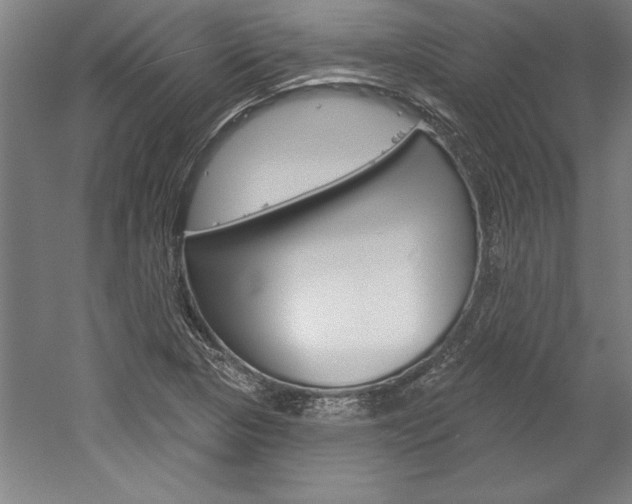 X0000060221313200510280901