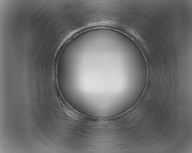 X0000060221316200510280901