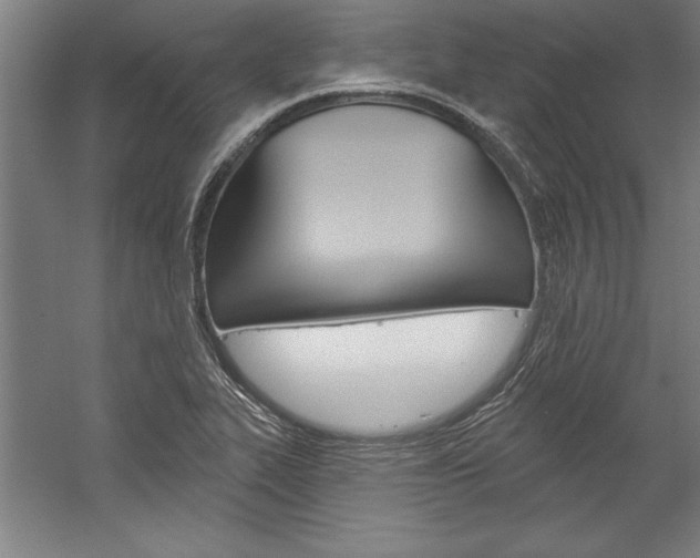 X0000060221319200510280901