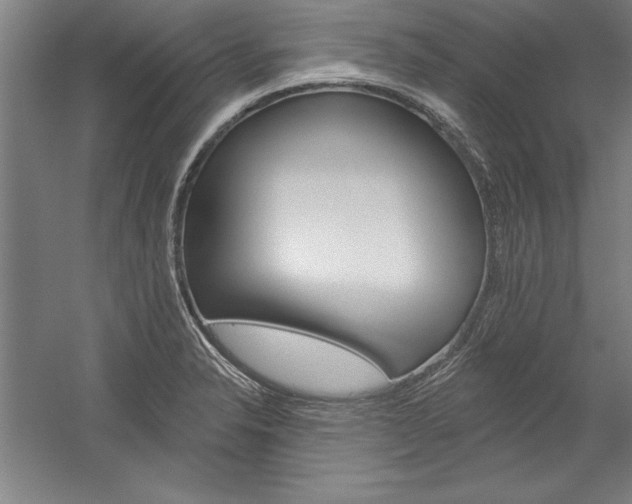 X0000060221326200510280901