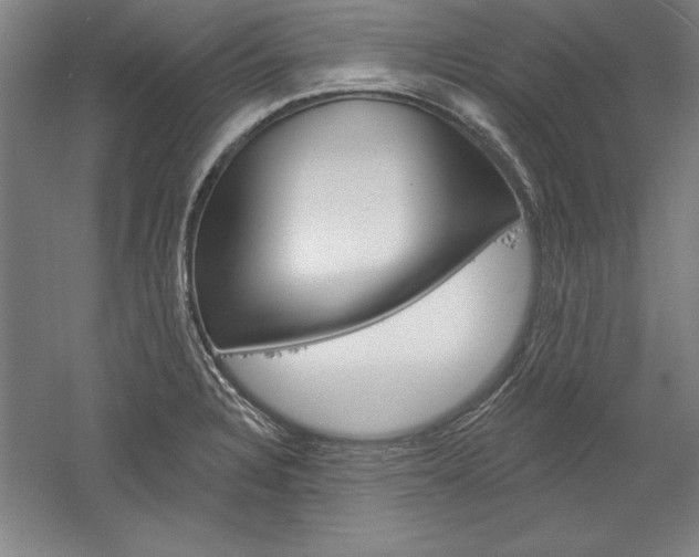 X0000060221328200510280901