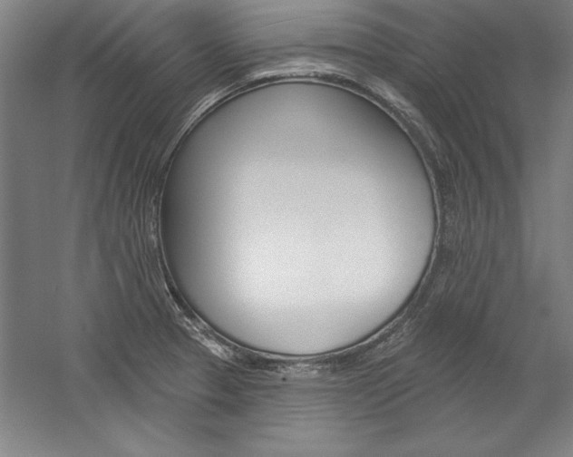 X0000060221329200510280901
