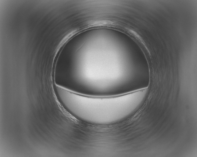 X0000060221330200510280901