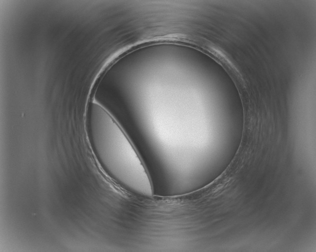 X0000060221332200510280901