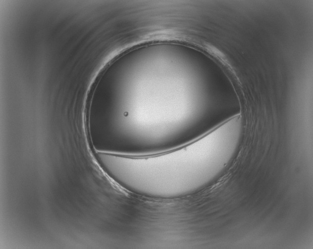 X0000060221334200510280901