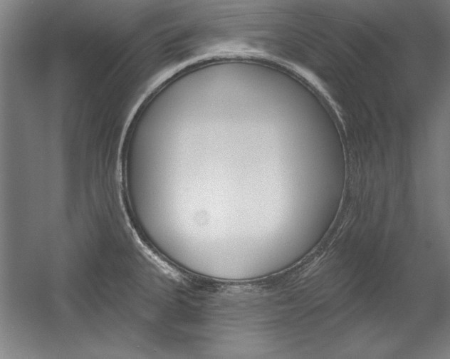 X0000060221335200510280901
