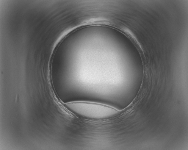 X0000060221336200510280901