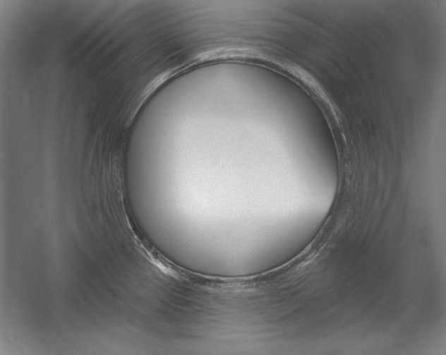 X0000060221337200510280901
