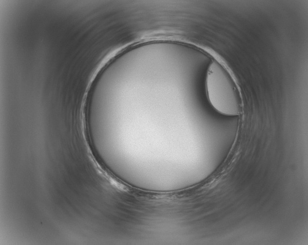 X0000060221341200510280901