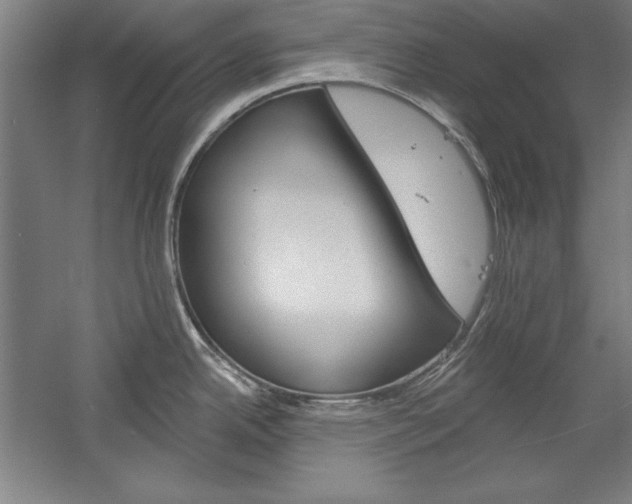 X0000060221342200510280901