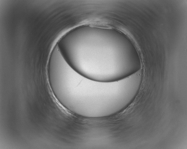 X0000060221344200510280901