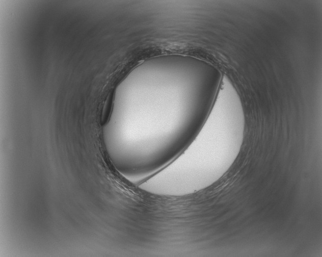 X0000060221345200510280901