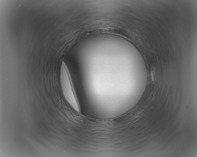X0000060221347200510280901