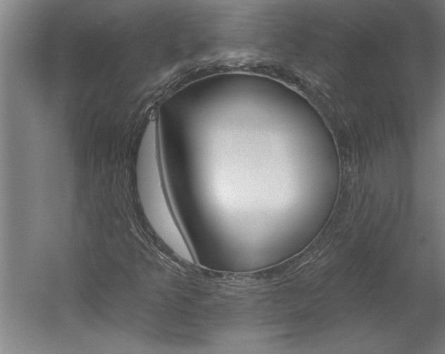 X0000060221349200510280901