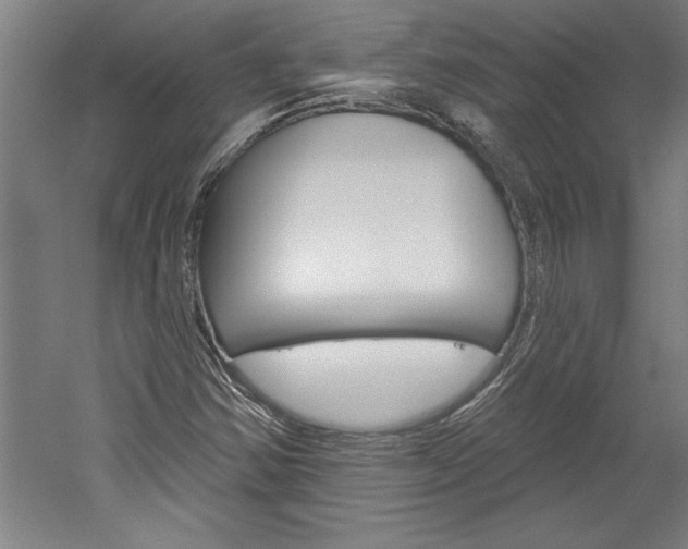 X0000060221354200510280901