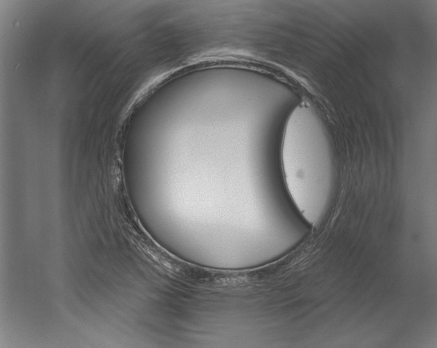 X0000060221363200510280900