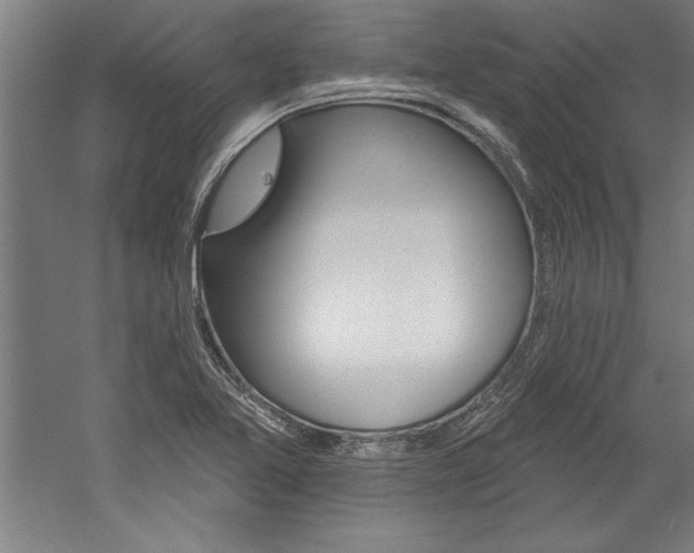X0000060221365200510280900