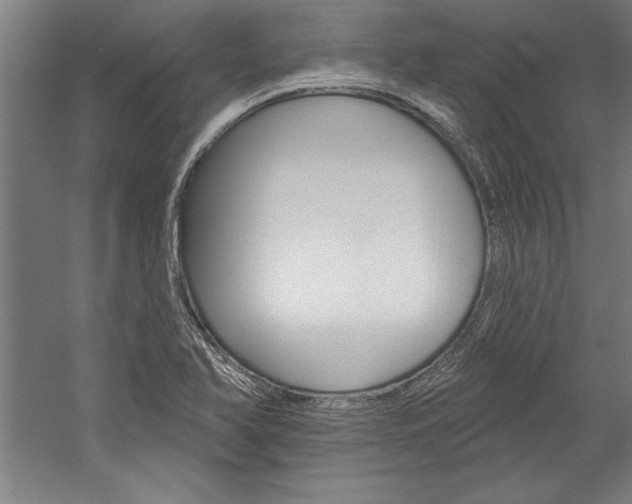 X0000060221366200510280900
