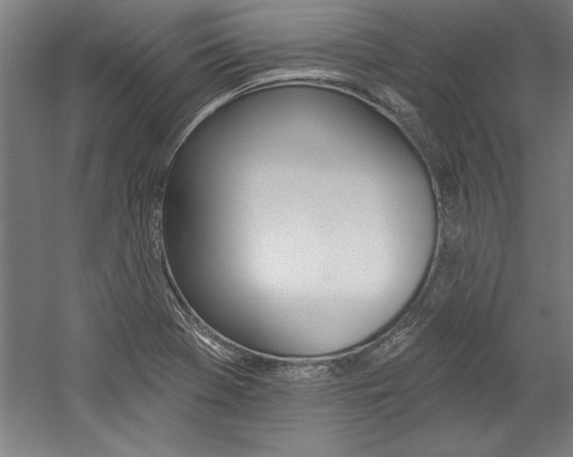 X0000060221369200510280900