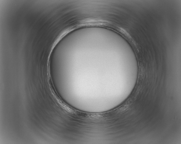 X0000060221370200510280900