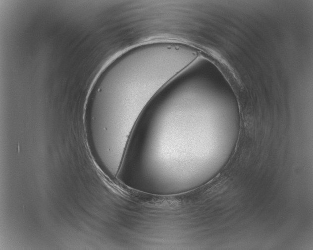 X0000060221372200510280900