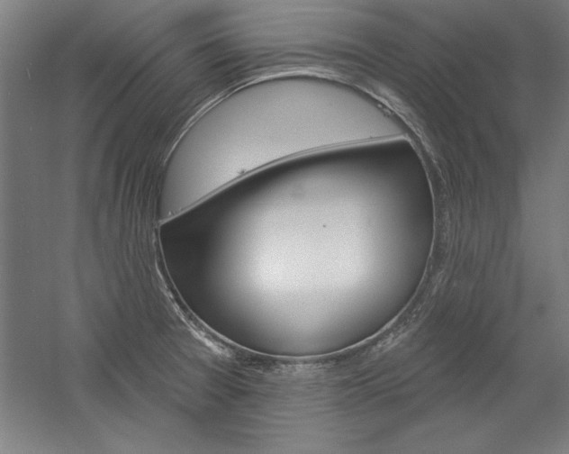 X0000060221377200510280900