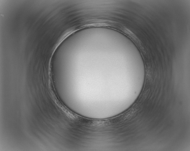X0000060221378200510280900