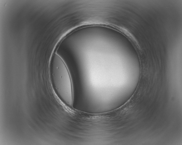 X0000060221380200510280900