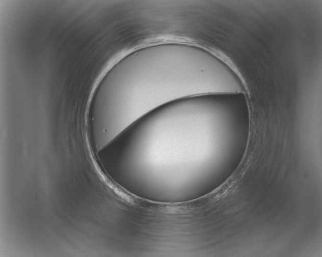 X0000060221381200510280900