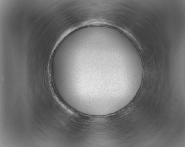 X0000060221382200510280900