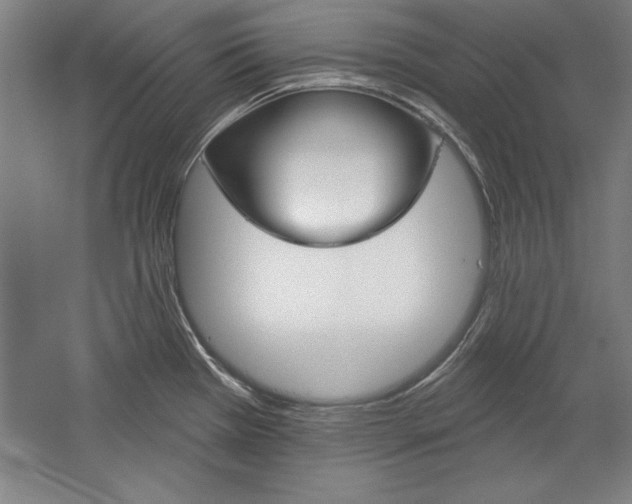 X0000060221385200510280900