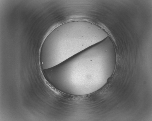 X0000060221386200510280900
