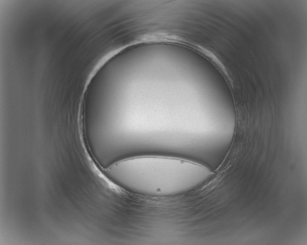 X0000060221387200510280900