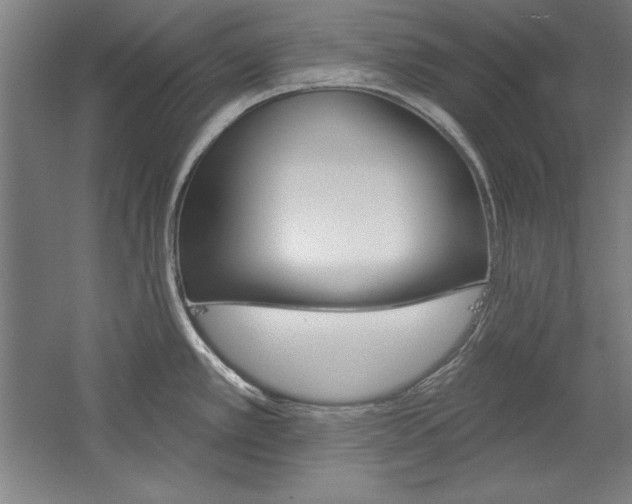 X0000060221389200510280900