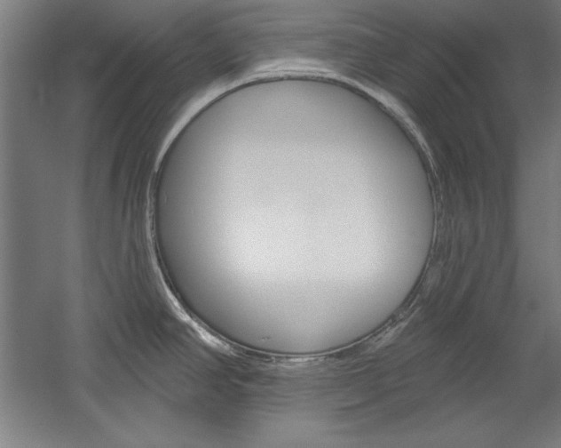 X0000060221390200510280900