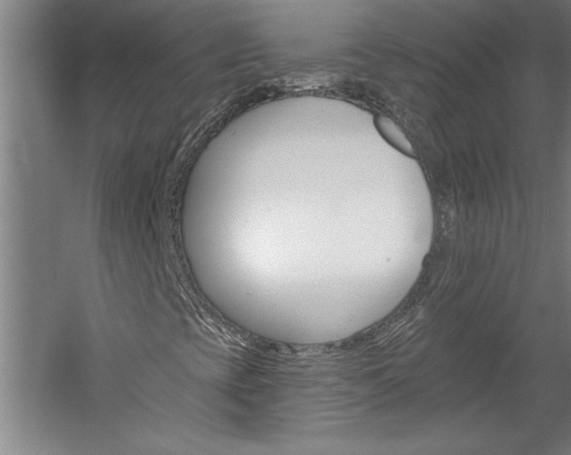 X0000060221393200510280859