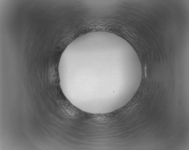 X0000060221395200510280859