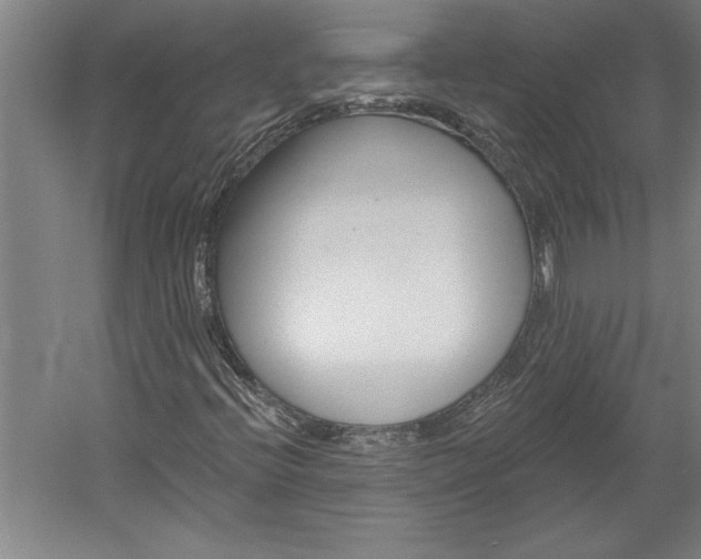 X0000060221396200510280859