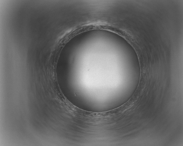X0000060221398200510280859